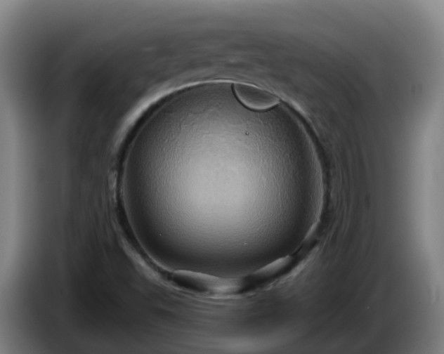 X0000086021503200703301021