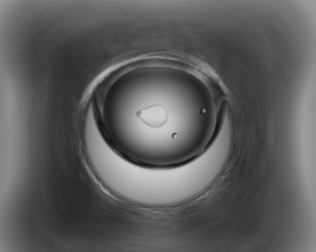 X0000086021504200703301021