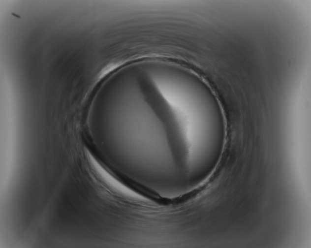X0000086021505200703301021