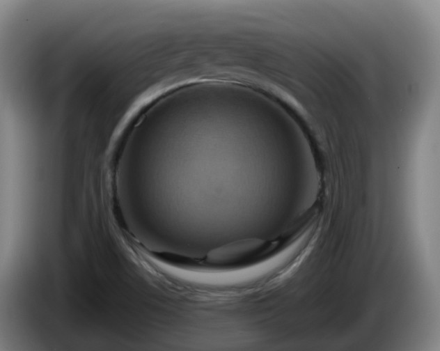 X0000086021506200703301021