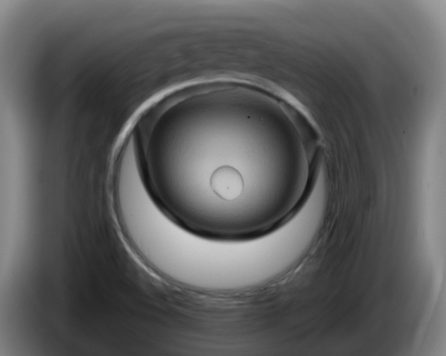 X0000086021508200703301021