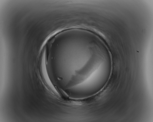 X0000086021509200703301021