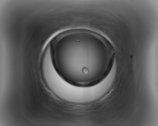 X0000086021510200703301021