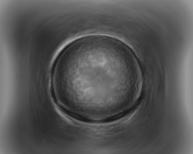 X0000086021511200703301021