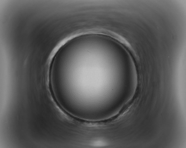 X0000086021512200703301021