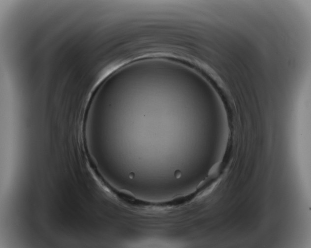 X0000086021513200703301021
