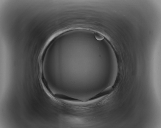 X0000086021515200703301021