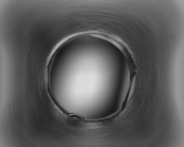 X0000086021516200703301021