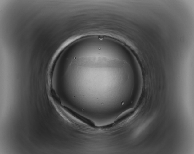 X0000086021517200703301021
