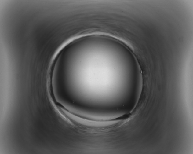 X0000086021518200703301021