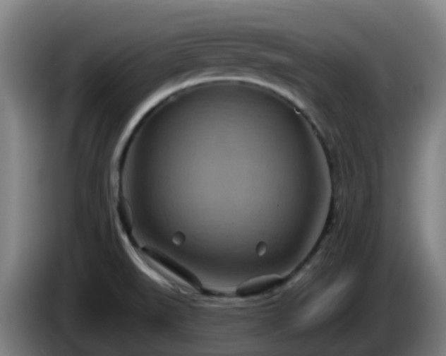 X0000086021519200703301021