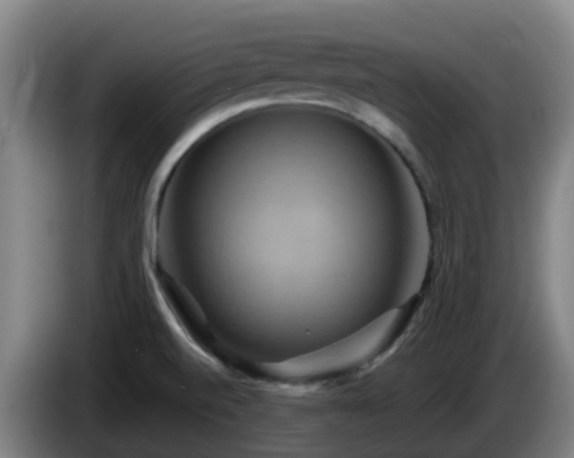 X0000086021520200703301021
