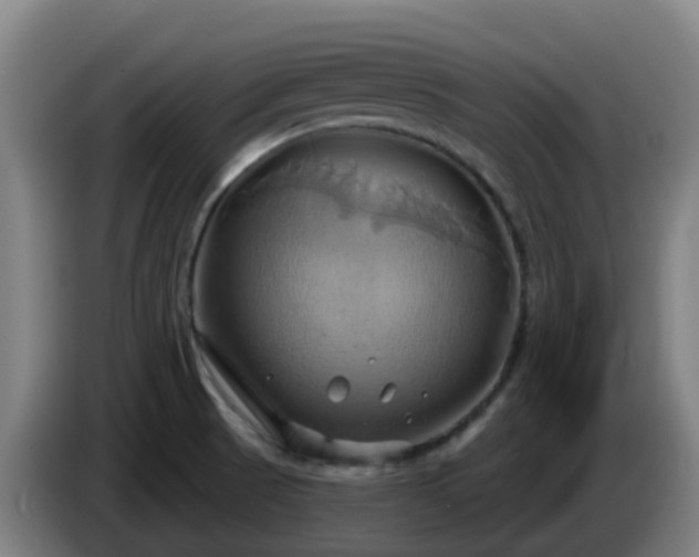 X0000086021521200703301021