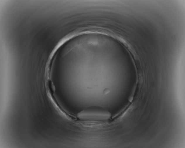 X0000086021522200703301021
