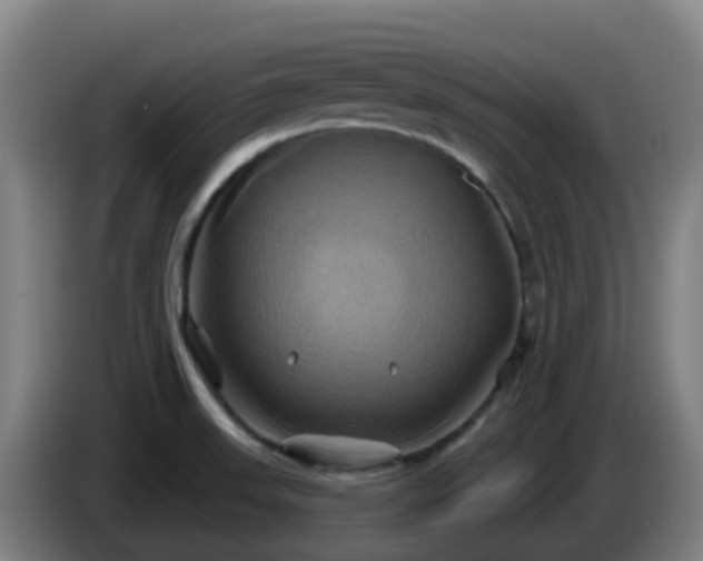 X0000086021523200703301021