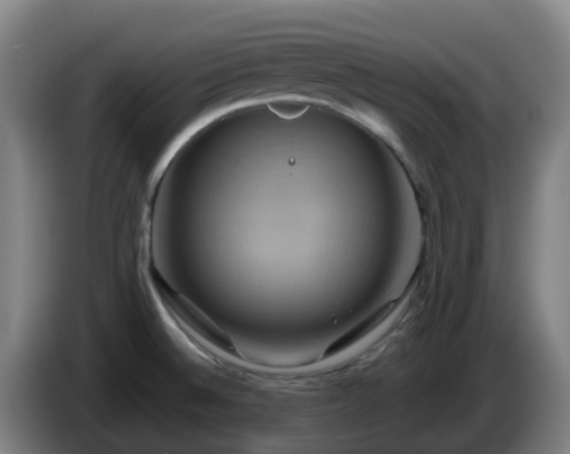 X0000086021524200703301021