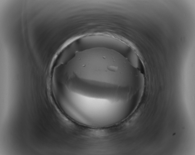 X0000086021525200703301021