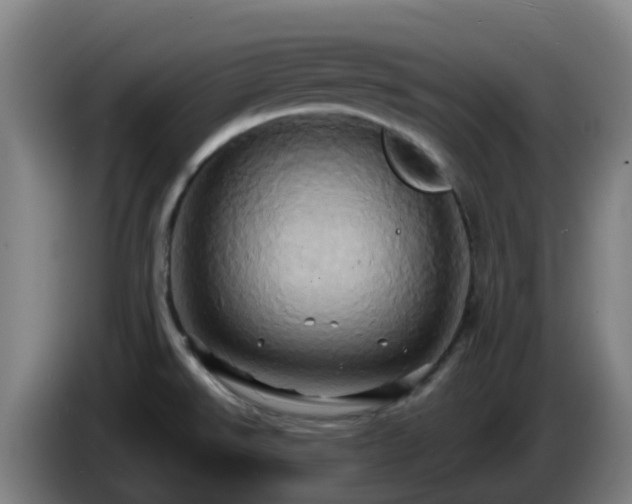 X0000086021526200703301021