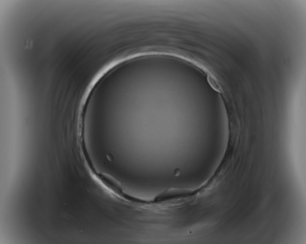 X0000086021527200703301021