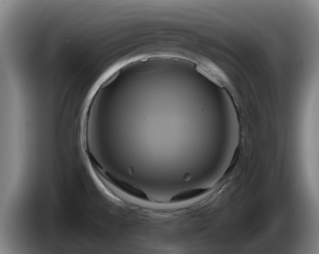 X0000086021528200703301021