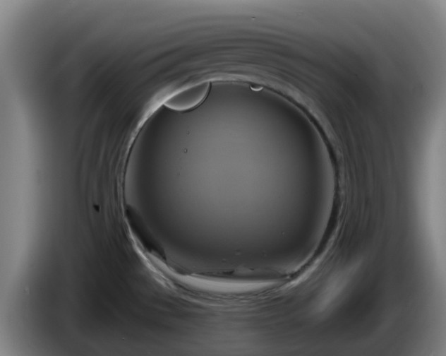 X0000086021529200703301021