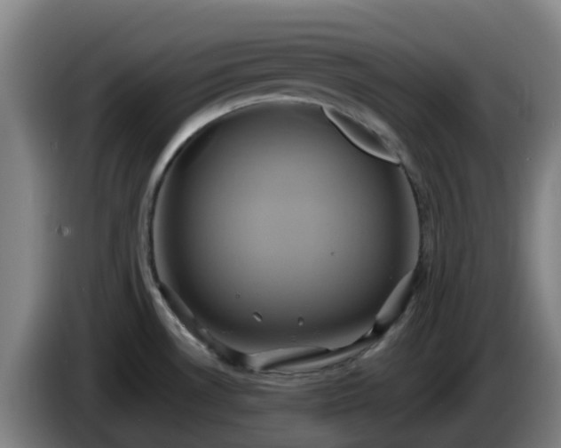 X0000086021530200703301021
