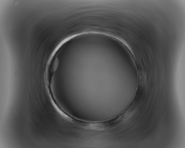 X0000086021531200703301021