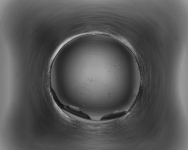 X0000086021532200703301021