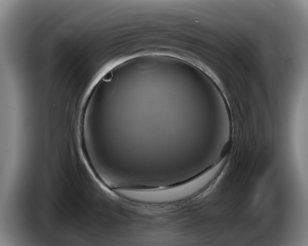 X0000086021533200703301021