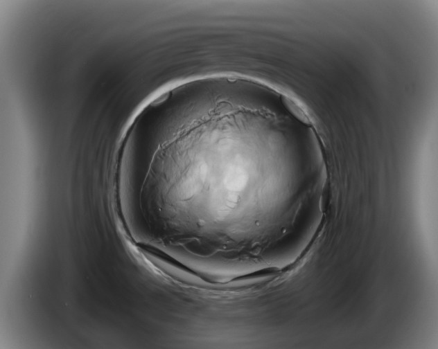 X0000086021534200703301021