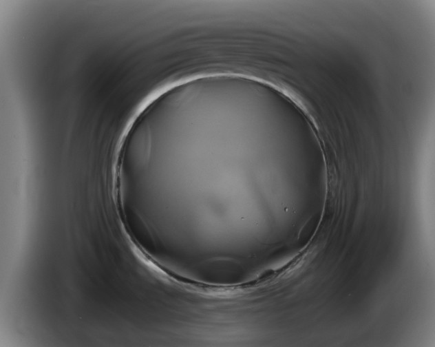 X0000086021535200703301021