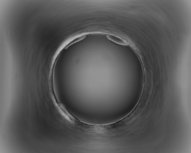 X0000086021536200703301021
