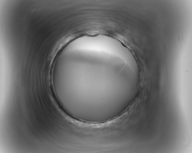 X0000086020002200704091122