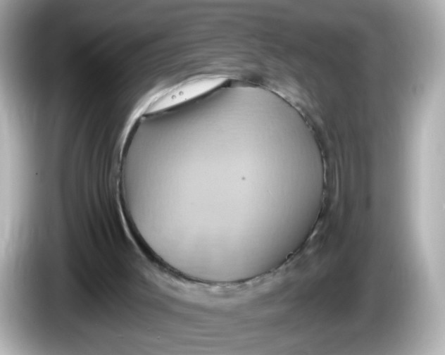 X0000086020003200704091122