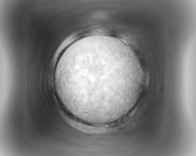 X0000086020004200704091122