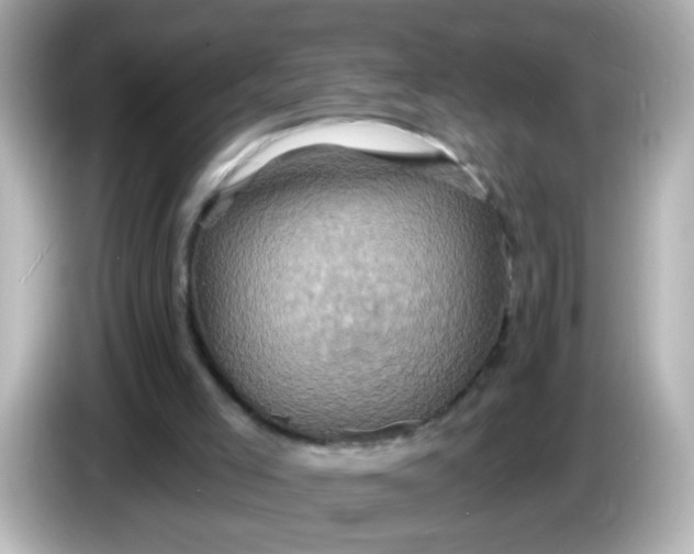 X0000086020005200704091122