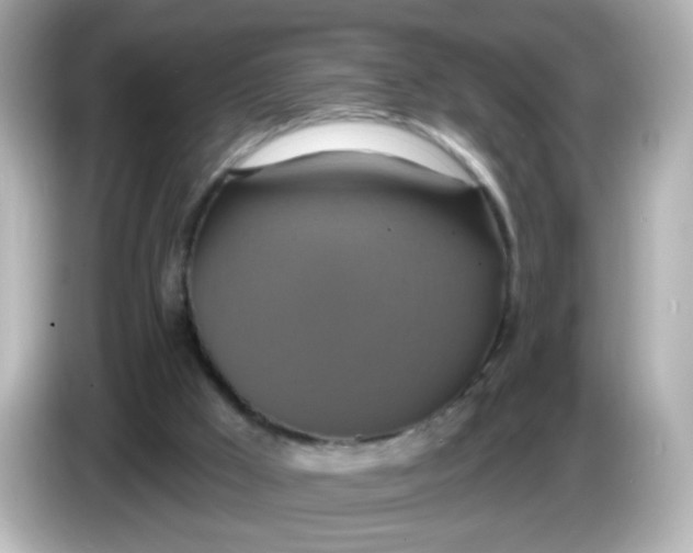 X0000086020009200704091122
