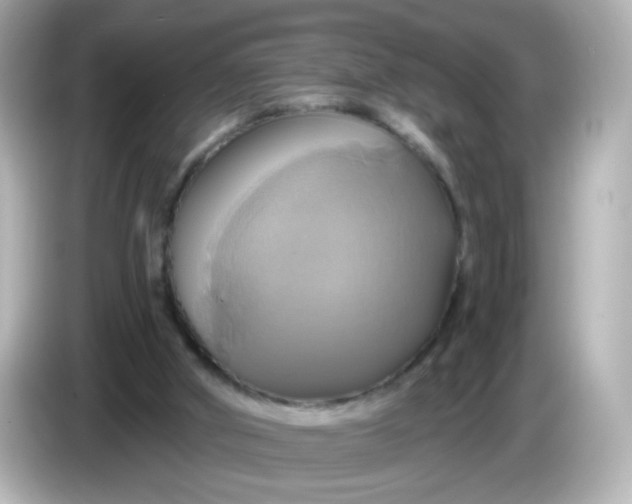 X0000086020010200704091122