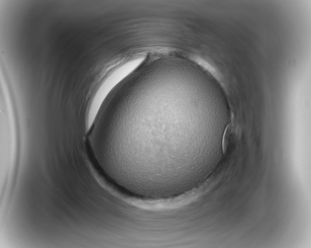 X0000086020013200704091122