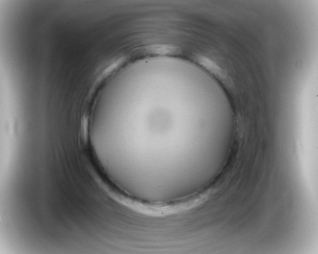 X0000086020014200704091122