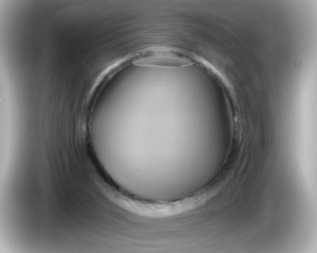 X0000086020015200704091122