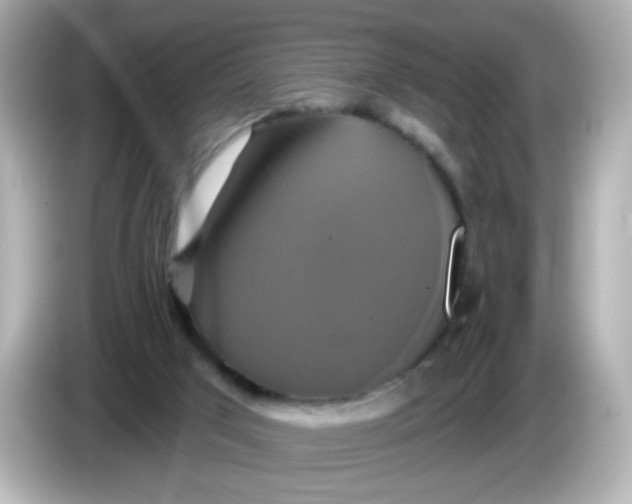 X0000086020017200704091122