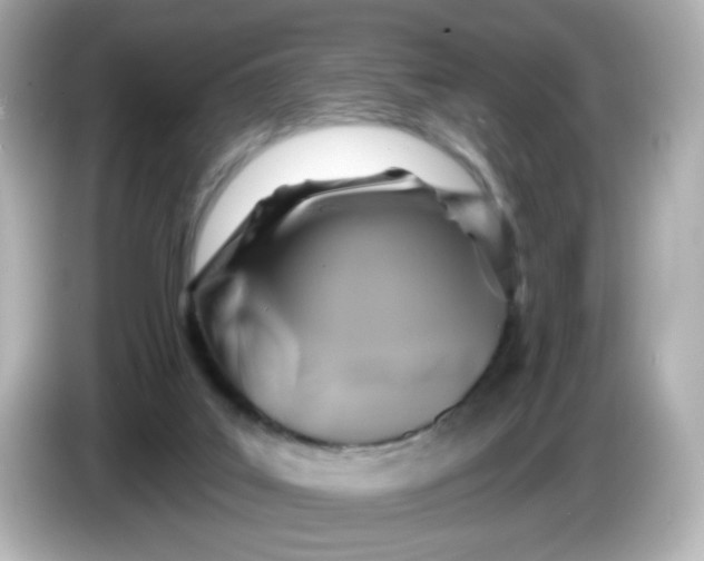 X0000086020019200704091122