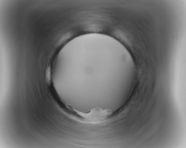 X0000086020020200704091122