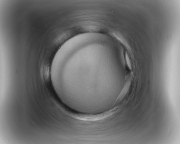 X0000086020021200704091122