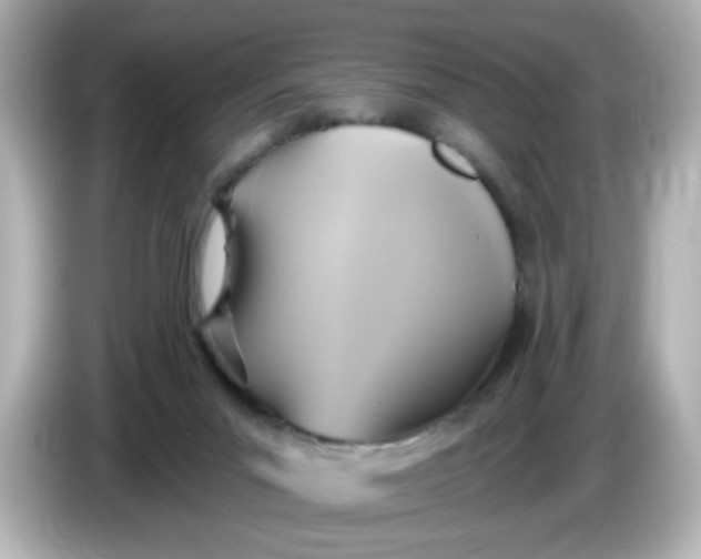 X0000086020023200704091122