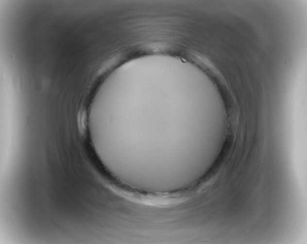 X0000086020024200704091122