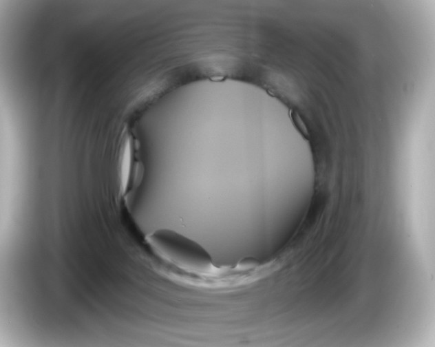 X0000086020027200704091122