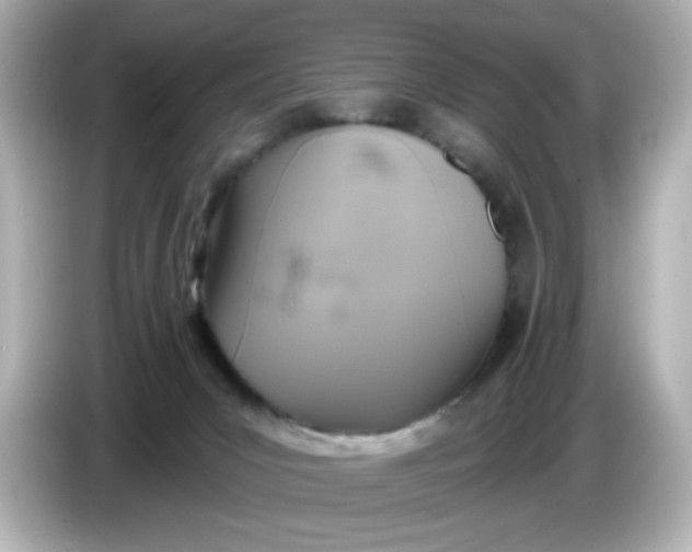 X0000086020031200704091122