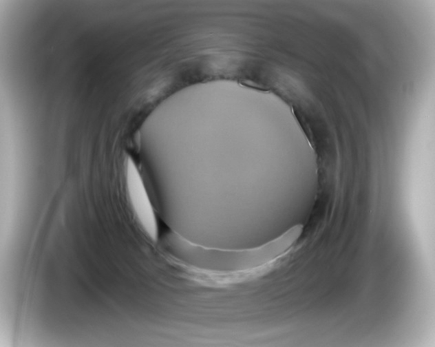 X0000086020033200704091122